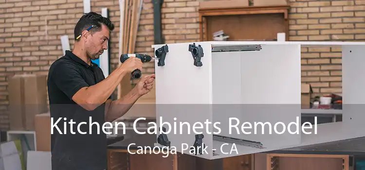 Kitchen Cabinets Remodel Canoga Park - CA