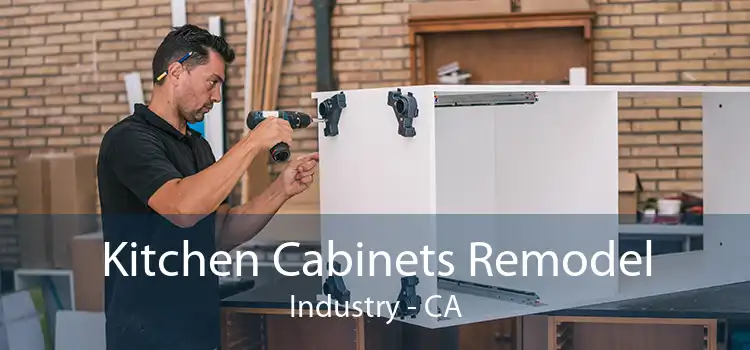 Kitchen Cabinets Remodel Industry - CA