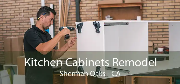 Kitchen Cabinets Remodel Sherman Oaks - CA