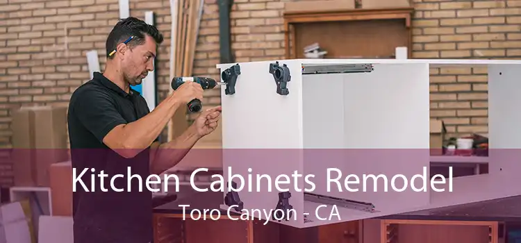 Kitchen Cabinets Remodel Toro Canyon - CA