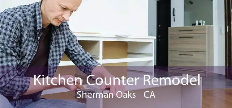 Kitchen Counter Remodel Sherman Oaks - CA