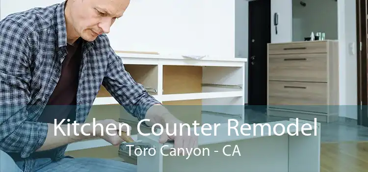 Kitchen Counter Remodel Toro Canyon - CA