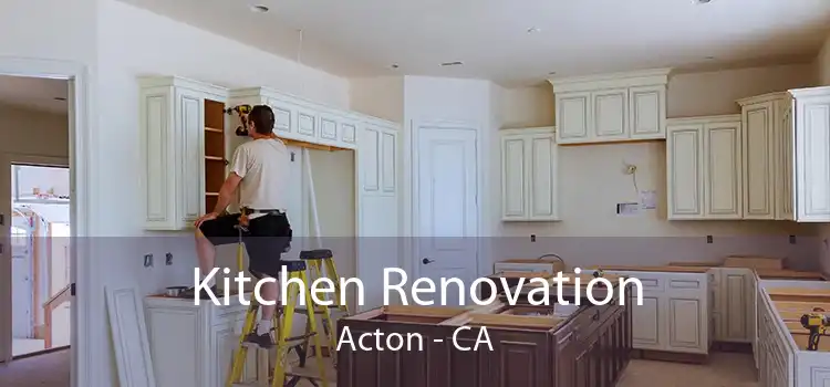 Kitchen Renovation Acton - CA