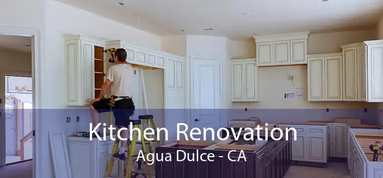 Kitchen Renovation Agua Dulce - CA