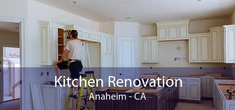 Kitchen Renovation Anaheim - CA