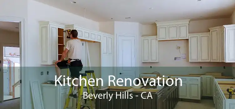 Kitchen Renovation Beverly Hills - CA