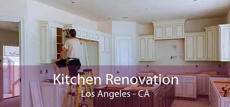 Kitchen Renovation Los Angeles - CA